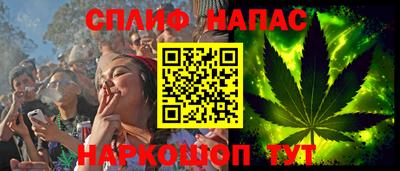 гидра Новодвинск