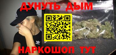 гидра Новодвинск