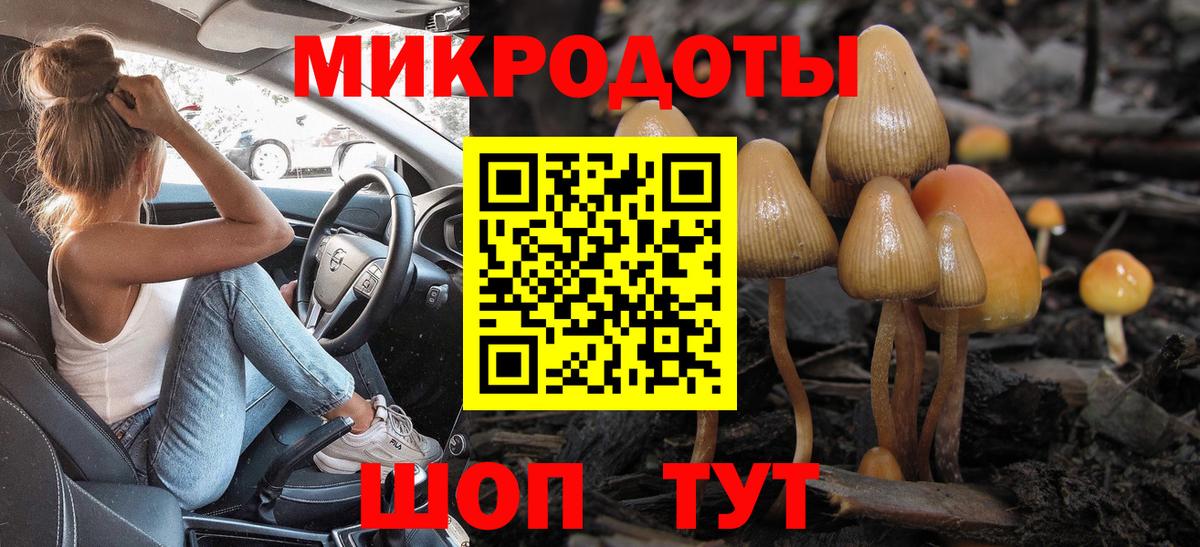 Галлюциногенные грибы мицелий Сухой Лог