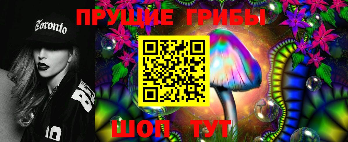Псилоцибиновые грибы мицелий  даркнет сайт  Сухой Лог  Псилоцибиновые грибы Psilocybe  Вход с VPN 